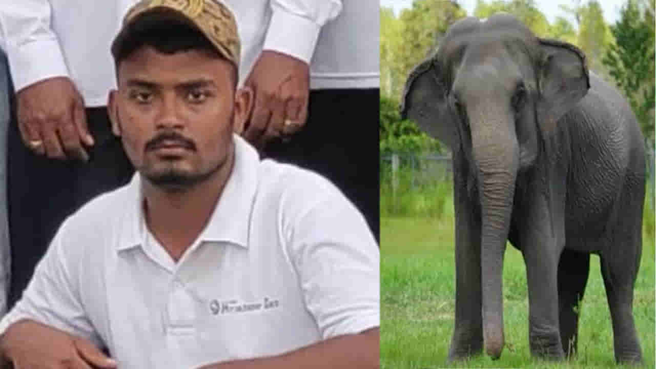 Hyderabad: దుస్తులు తెచ్చుకునేందుకు ఏనుగుల డెన్‌‌లోకి వెళ్లిన మావటి..! ఇంతలోనే ఘోరం.. స్పందించేలోపే..