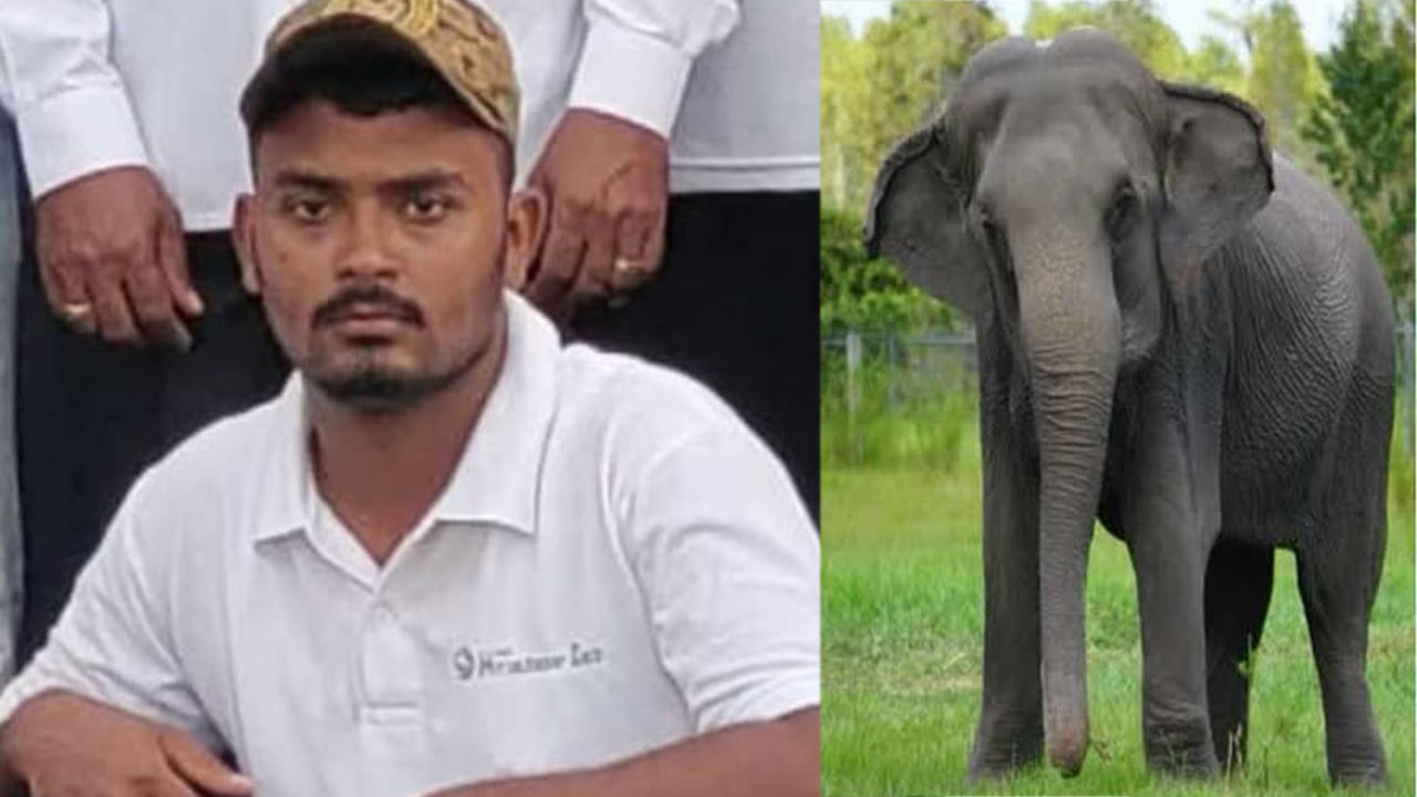 Hyderabad: దుస్తులు తెచ్చుకునేందుకు ఏనుగుల డెన్‌‌లోకి వెళ్లిన మావటి..! ఇంతలోనే ఘోరం.. స్పందించేలోపే..