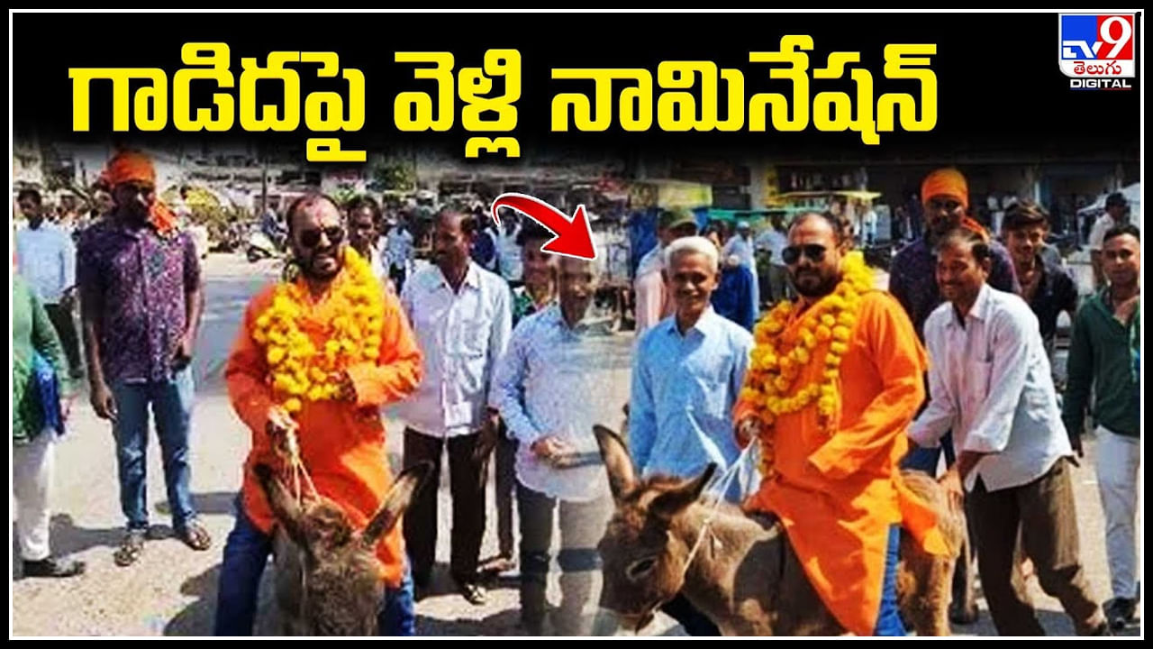 Viral: గాడిదపై వెళ్లి నామినేషన్‌.. వంశ పారంపర్య రాజకీయాలకు వ్యతిరేకంగా..వీడియో.