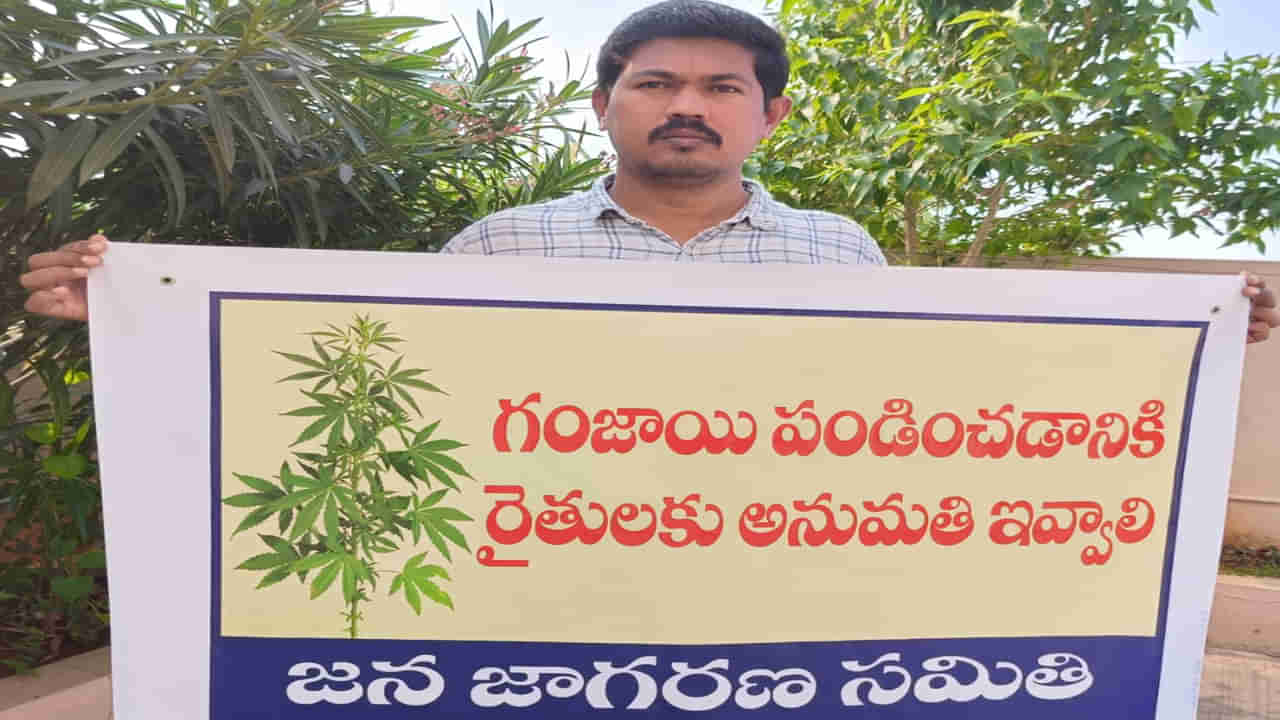 Ganja Cultivation: అనుమతి ఇచ్చేయండి సార్‌ ప్లీజ్‌.. గంజాయి పండించుకుంటాం ! వెరైటీ విన్నపం