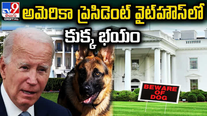 వైట్హౌస్లో చెలరేగిపోతున్న బైడెన్ శునకం.. కొరికిపారేస్తుందిగా.. వైట్హౌస్లో చెలరేగిపోతున్న బైడెన్ శునకం.. కొరికిపారేస్తుందిగా..