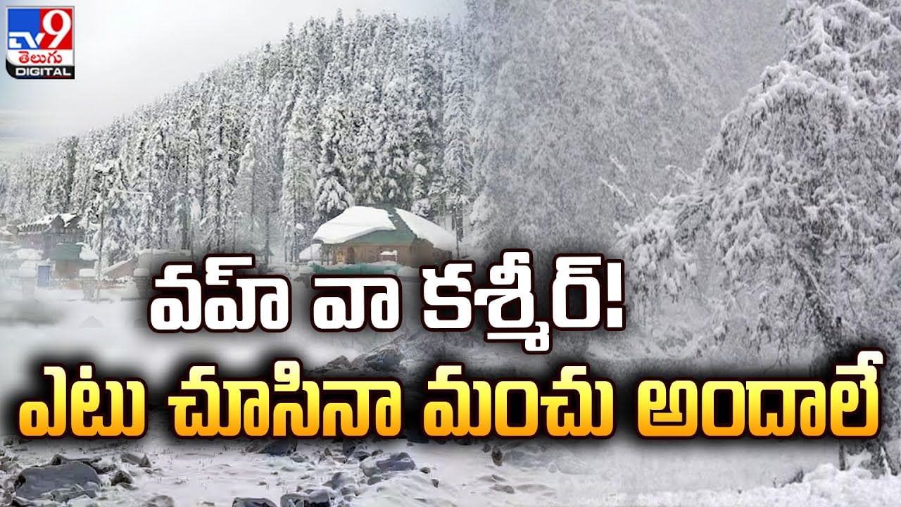 Watch Video: మంచు కురిసే వేళలో.. కశ్మీర్ లోయలో మాటలకు అందని ప్రకృతి సౌందర్యం