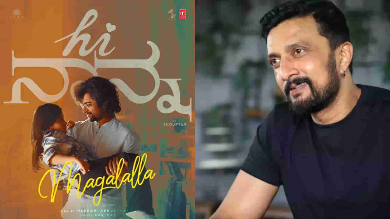 Nani- Kichcha Sudeep: థ్యాంక్యూ అన్నా.. కిచ్చా సుదీప్‌కు ప్రత్యేక ధన్యవాదాలు తెలిపిన నాని.. ఎందుకంటే?