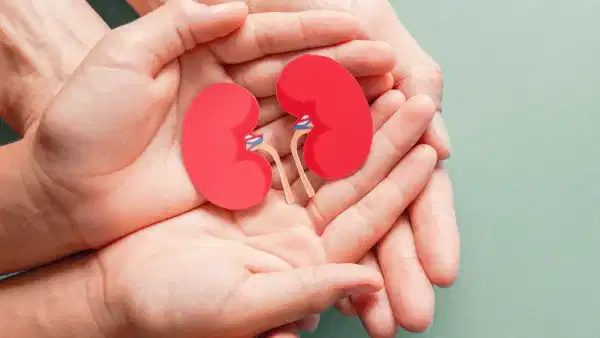 Kidney Health: ఈ ఫుడ్ తింటే శరీరంలో విషపూరితమైన దీన్ని బయటకు పంపించేయవచ్చు!