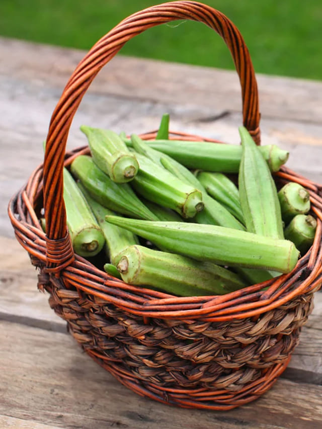 బెండకాయలు అధికంగా తినండి.. గుండె జబ్బులు రాకుండా కాపాడుకోండి TV9 Telugu