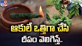 వీళ్లు మనుషులేనా? కుక్కను గేట్‌కు వేలాడదీసిన డాగ్‌ ట్రైనర్స్‌