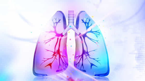 Pneumonia: న్యుమోనియా రిస్క్ వారికి ఎక్కువ..? ఈ లక్షణాలుంటే వెంటనే వైద్యుని సంప్రదించాల్సిందే..