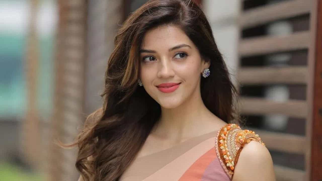 సుల్తాన్ ఆఫ్ ఢిల్లీ వెబ్ సిరీస్లో నటించిన మెహ్రీన్, కథలో భాగంగా వచ్చే ఇంటిమేట్ సీన్స్ లో నటించారు. ఆ సీన్సే ఇప్పుడు మెహరీన్ పై ట్రోలింగ్ కు కారణం అవుతున్నాయి.