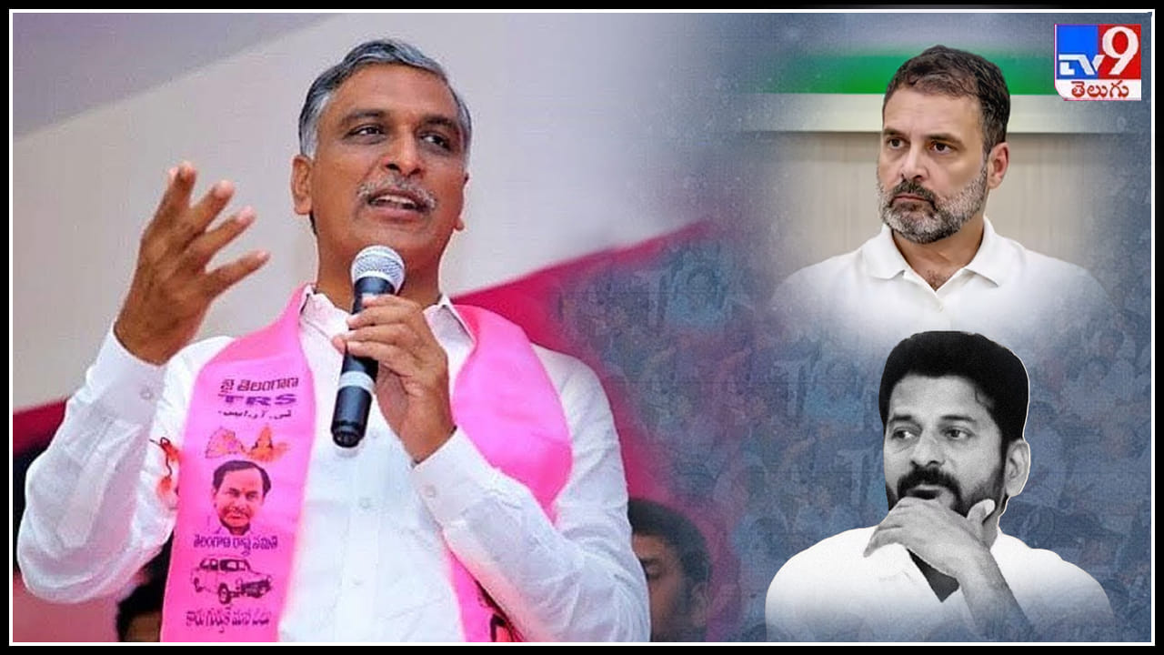 Harish Rao: కాంగ్రెస్ నేత రాహుల్ గాంధీ, టీపీసీసీ చీఫ్ రేవంత్ రెడ్డిలపై మంత్రి హరీష్ రావు ఫైర్.