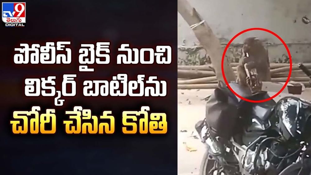 పోలీస్ బైక్ నుంచి లిక్కర్ బాటిల్ ను చోరీ చేసిన కోతి పోలీస్ బైక్ నుంచి లిక్కర్ బాటిల్ ను చోరీ చేసిన కోతి