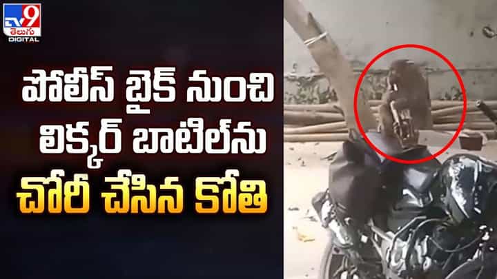 పోలీస్ బైక్ నుంచి లిక్కర్ బాటిల్ ను చోరీ చేసిన కోతి పోలీస్ బైక్ నుంచి లిక్కర్ బాటిల్ ను చోరీ చేసిన కోతి
