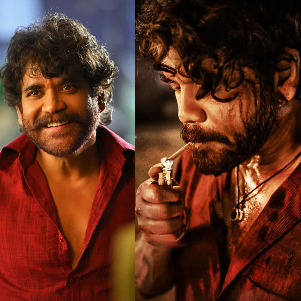 నాగార్జున నా సామిరంగా షూటింగ్ అజీజ్ నగర్ చిత్రమందిర్లో జరుగుతుంది. విజయ్ దేవరకొండ, పరశురామ్ ఫ్యామిలీ స్టార్ షూటింగ్ వాయుపురీ కాలనీలో జరుగుతుండగా.. నితిన్, వక్కంతం వంశీ ఎక్స్ ట్రా ఆర్డినరీ మ్యాన్ షూటింగ్ రామోజీ ఫిల్మ్ సిటీ పరిసర ప్రాంతాల్లో జరుగుతుంది. గోపిచంద్, కన్నడ దర్శకుడు హర్ష కాంబినేషన్లో వస్తున్న భీమా సినిమా షూటింగ్ అల్యూమినియం ఫ్యాక్టరీలో జరుగుతుంది.