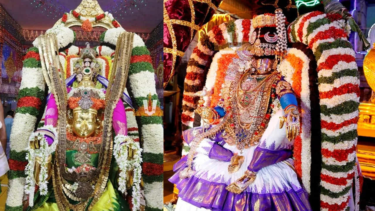 అక్టోబర్ 19వ తేదీ శ్రీవారి నవరాత్రి బ్రహ్మోత్సవాలలో 5వ రోజు ఉదయం 8 గంటలకు శ్రీవారు మోహినీరూపంలో భక్తులకు దర్శనం ఇవ్వనున్నారు. రాత్రి 7 గంటలకు గరుడ వాహన సేవ జారనుంది. జగన్నాటక సూత్రధారి మలయప్ప స్వామి గరుడవాహనంపై తిరుమాడ వీధుల్లో భక్తులకు దర్శనం ఇవ్వనున్నారు. 