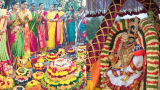 Navratri 2023: నవరాత్రి సమయంలో నవధాన్యాలు, కొబ్బరి కాయ ఇలా కనిపిస్తే మీ పూజ సఫలం.. సుఖ సంతోషాలు మీ సొంతం