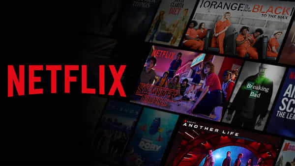 Netflix Tax: నెట్ఫ్లిక్స్ రూ.196 కోట్ల పన్ను ఎగవేత కేసు.. ట్రిబ్యునల్ కోర్టులో పిటిషన్ దాఖలు
