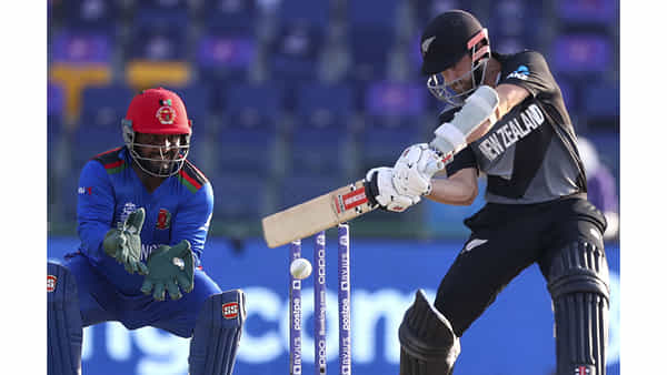 NZ vs AFG ICC WC Match Preview: మరోసారి షాక్ ఇచ్చేందుకు సిద్ధమైన ఆఫ్ఘాన్.. న్యూజిలాండ్తో కీలక పోరు..