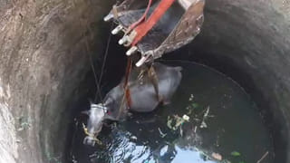 Andhra Pradesh: క్యూరింగ్ ఆర్ట్ లో ప్రతిభ కనపరుస్తున్న త్రిలోకేశ్వరి.. చిత్రాలు చూస్తే ఔరా అనాల్సిందే..