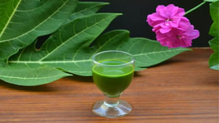 Health Tips: రోజూ ఇన్ని గ్లాసుల నీరు తాగండి.. ఈ నాలుగు సమస్యల నుంచి బయట పడండి