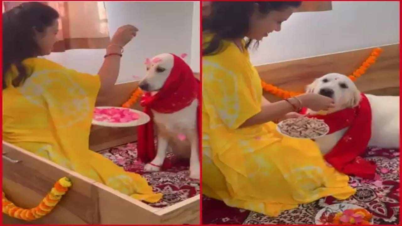 Pet Dog : పెంపుడు కుక్కకు సీమంతం.. వైరల్ అవుతోన్న వీడియో..నెటిజన్లు ఫిదా..