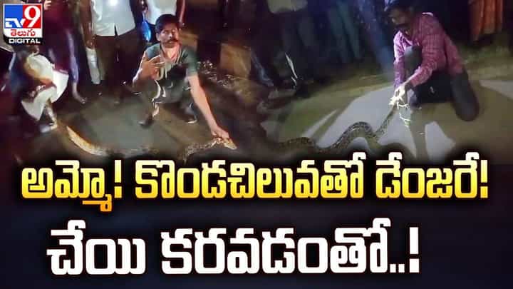 అయ్యో.. కొండచిలువ ఎంతపని చేసింది.. స్నేక్ క్యాచర్నే కరిచేసిందిగా అయ్యో.. కొండచిలువ ఎంతపని చేసింది.. స్నేక్ క్యాచర్నే కరిచేసిందిగా
