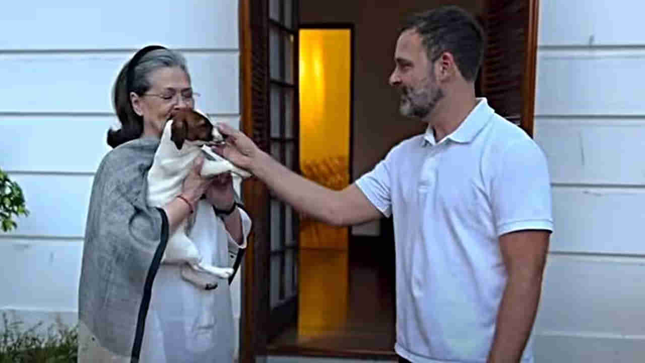 Rahul Gandhi: పెంపుడు కుక్కకు అలాంటి పేరు పెడతారా? రాహుల్పై కేసు వేసిన మజ్లిస్