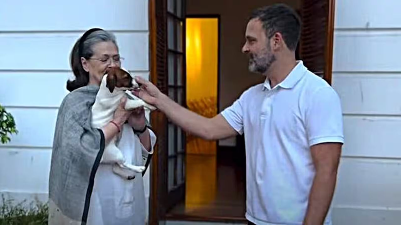Rahul Gandhi: పెంపుడు కుక్కకు అలాంటి పేరు పెడతారా? రాహుల్పై కేసు వేసిన మజ్లిస్