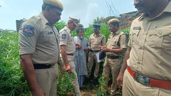 Rajanna Sircilla: పల్లెలకు పాకిన గంజాయి మత్తు.. చిత్తవుతున్న యువత.. ఏకంగా 83 మంది అరెస్ట్..!