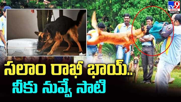 సలాం రాఖీ భాయ్.. నీకు నువ్వే సాటి.. రాష్ట్ర స్థాయిలో గుర్తింపు సలాం రాఖీ భాయ్.. నీకు నువ్వే సాటి.. రాష్ట్ర స్థాయిలో గుర్తింపు
