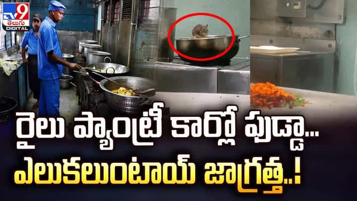 రైలు ప్యాంట్రీ కార్లో ఫుడ్డా.. ఎలుకలుంటాయ్ జాగ్రత్త !! రైలు ప్యాంట్రీ కార్లో ఫుడ్డా.. ఎలుకలుంటాయ్ జాగ్రత్త !!