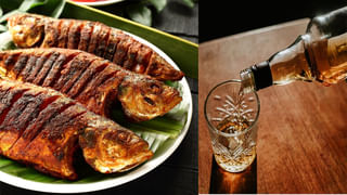 అక్షయపాత్రలు విందు భోజనాలు.. రాజకీయ ప్రముఖులు, సీఎం రాక.. అదిరిపోయేలా రిసెప్షన్‌