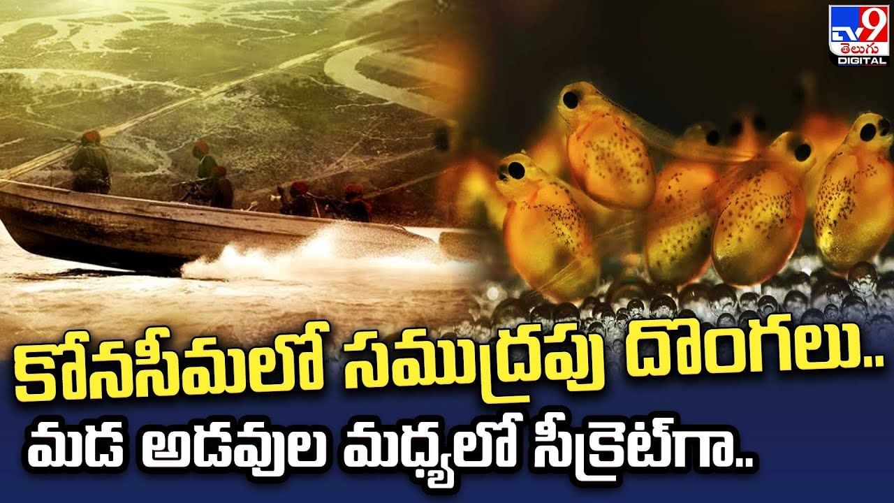 AP News: కోనసీమలో సముద్రపు దొంగలు.. మడ అడవుల మధ్యలో సీక్రెట్‌ యవ్వారం..