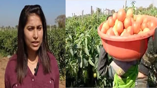Most Expensive Fruits: ప్రపంచంలోనే అత్యంత ఖరీదైన పండ్లు ఇవే.. కిలో కొనాలంటే లగ్జరీ కారు సమానం..