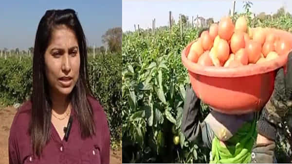 Success Story: తండ్రి అనారోగ్యంతో లక్షల జీతం వచ్చే ఉద్యోగాన్ని వదిలి వ్యవసాయం చేస్తున్న యువతి.. ఏడాదికే కోటీశ్వరురాలు