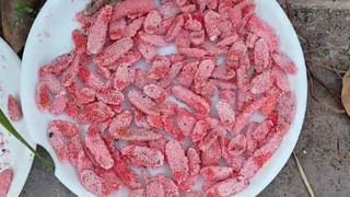 అక్షయపాత్రలు విందు భోజనాలు.. రాజకీయ ప్రముఖులు, సీఎం రాక.. అదిరిపోయేలా రిసెప్షన్‌