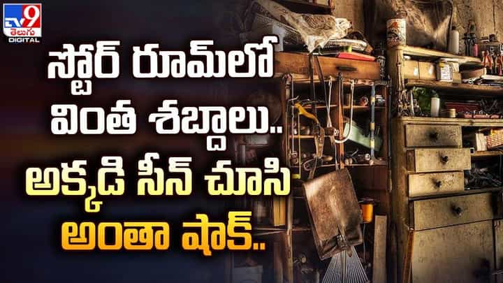 స్టోర్ రూమ్లో వింత శబ్దాలు.. అక్కడి సీన్ చూసి అంతా షాక్ !! స్టోర్ రూమ్లో వింత శబ్దాలు.. అక్కడి సీన్ చూసి అంతా షాక్ !!