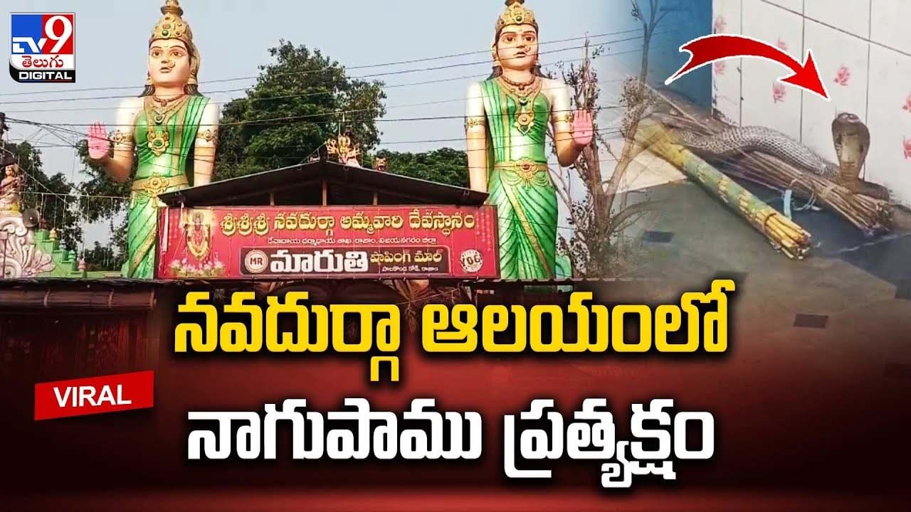 నవదుర్గా ఆలయంలో నాగుపాము ప్రత్యక్షం