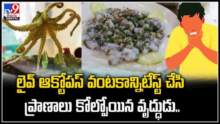 Live Octopus Dish: లైవ్ ఆక్టోపస్ వంటకాన్నిటేస్ట్ చేసి ప్రాణాలు కోల్పోయిన వృద్ధుడు.. Live Octopus Dish: లైవ్ ఆక్టోపస్ వంటకాన్నిటేస్ట్ చేసి ప్రాణాలు కోల్పోయిన వృద్ధుడు..