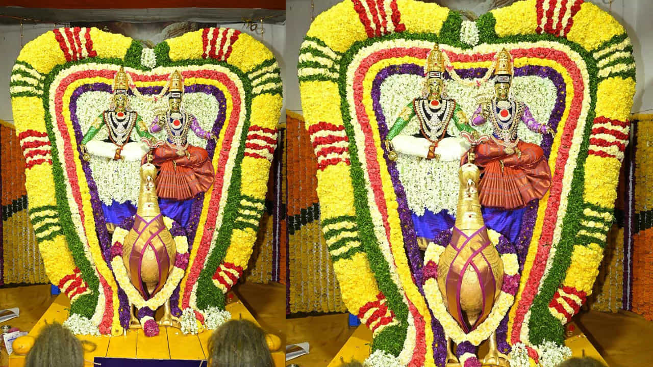 భ్రమరాంబికా దేవి స్వామివారితో కలిసి పురవీధుల్లో రావణవాహనం వాహనంపై ఊరేగుతూ భక్తులకు దర్శనం ఇవ్వనున్నారు. ఈ రోజు మల్లన్న స్వామీ అమ్మవారిని మంత్రి కొట్టు సత్యనారాయణ దంపతులు దర్శించుకోనున్నారు.