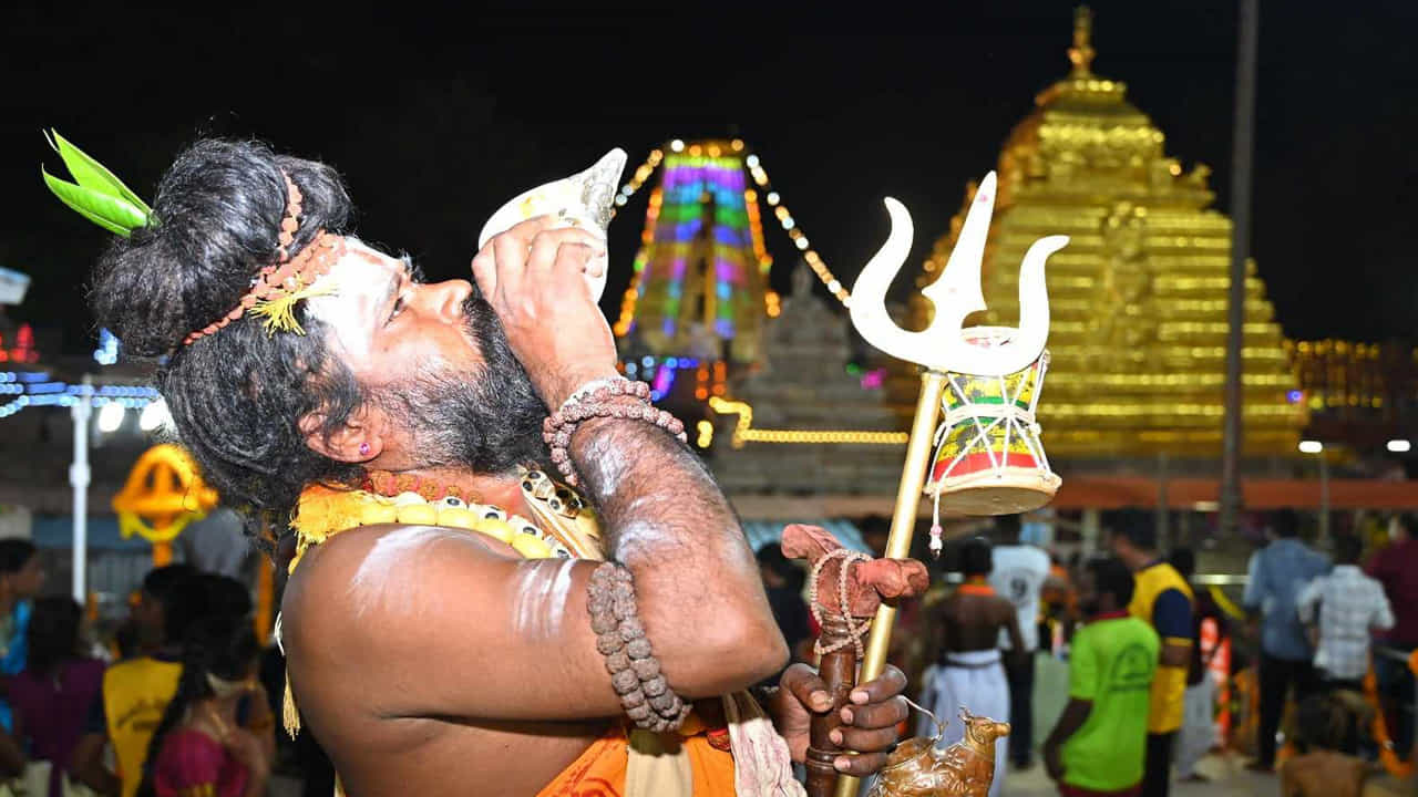 శ్రీశైల మహాక్షేత్రంలో దసరా మహోత్సవాలు అంగరంగ వైభవంగా జరుగుతున్నాయి. రెండవరోజు భ్రమరాంబికాదేవి బ్రహ్మచారిని అలంకారంలో భక్తులకు దర్శనమిచ్చారు. ముందుగా అమ్మవారి ఆలయ ప్రాంగణంలో ఏర్పాటు చేసిన ప్రత్యేక వేదికపై బ్రహ్మచారిని అలంకారంలో ఉన్న అమ్మవారికి పలురకాల పూలతో అలంకరించారు.