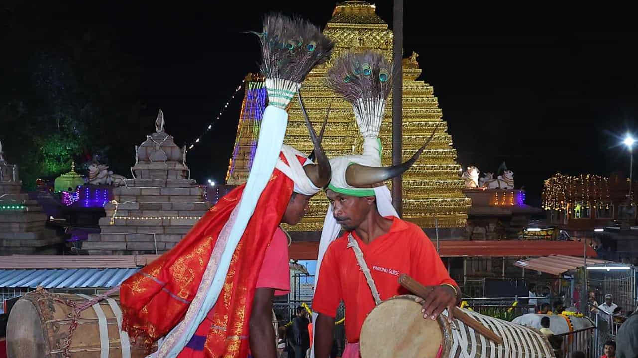 ఆలయం లోపలి నుంచి బాజా బజంత్రీలు బ్యాండ్ వాయిద్యాల నడుమ శ్రీస్వామి అమ్మవార్లు గ్రామోత్సవంగా విహారించగా గ్రామోత్సవం కదలివస్తున్న స్వామి అమ్మవారిని భక్తులు దర్శించుకుని కర్పూర నీరాజనాలర్పించారు. ఈ కార్యక్రమంలో ఆలయ ఈవో పెద్దిరాజు,పలువురు ఆలయ ట్రస్ట్ బోర్డ్ సభ్యులు అధికారులు పాల్గొన్నారు.