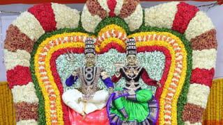 Vastu Tips: నిత్యం నెగిటివ్‌ ఆలోచనలు వేధిస్తున్నాయా.? అయితే ఈ విషయాలు మీ కోసమే..
