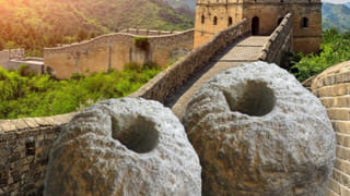 వామ్మో..  నెట్టింట హల్‌చల్‌ చేస్తున్న వింత జంతువు..! ఇది ఎలుకా.. లేక జింకా..? వీడియో చూసి చెప్పండి మీరే..