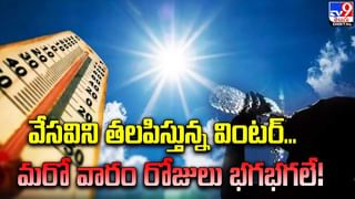 AP News: కోనసీమలో సముద్రపు దొంగలు.. మడ అడవుల మధ్యలో సీక్రెట్‌ యవ్వారం..