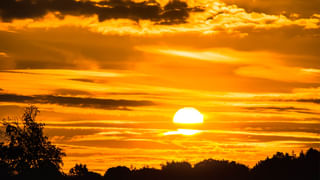 Papaya: బొప్పాయి తినే అలవాటుందా..? ఈ విషయాలను తప్పనిసరిగా తెలుసుకోండి.. లేకపోతే మీకే ప్రమాదం..