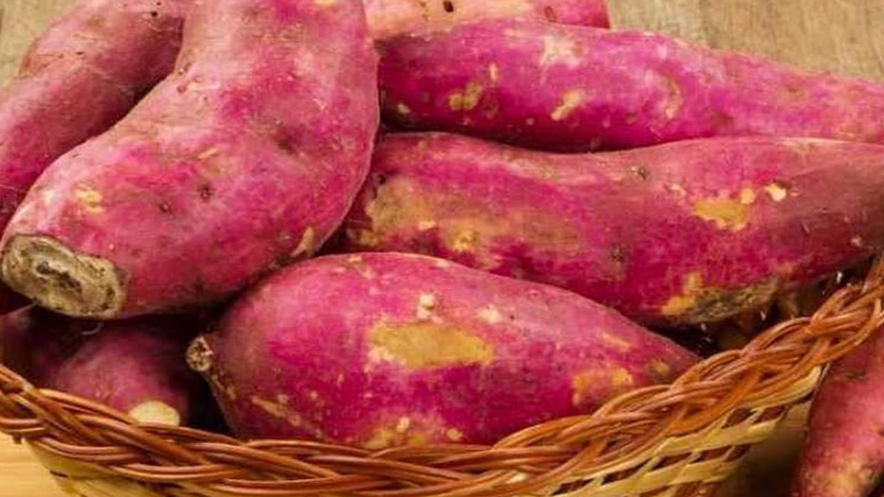 Sweet Potato-
చిలగడదుంప: నేల కింద పెరిగే ఈ దుంప జుట్టు ఆరోగ్యాన్ని కూడా కాపాడుతుంది. ఇందులో యాంటీ ఆక్సిడెంట్ అయిన బీటా కెరోటిన్ పుష్కలంగా ఉంటుంది. ఇది జుట్టును నల్లగా చేయడంలో ముఖ్యపాత్ర పోషిస్తుంది. జుట్టు షైన్ మెయింటెయిన్ చేయడంలో చాలా సహాయపడుతుంది.