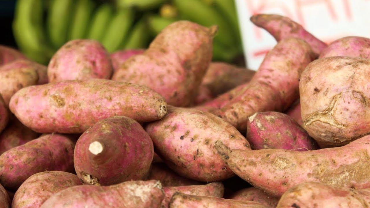 Sweet Potato Benefits: చిలగడ దుంపల్ని చలికాలంలోనే ఎందుకు తింటారు? ఈ విషయాలు మీకోసమే!