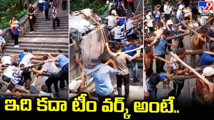 ఇది కదా టీం వర్క్ అంటే.. నెటిజన్లు ఫిదా ఇది కదా టీం వర్క్ అంటే.. నెటిజన్లు ఫిదా