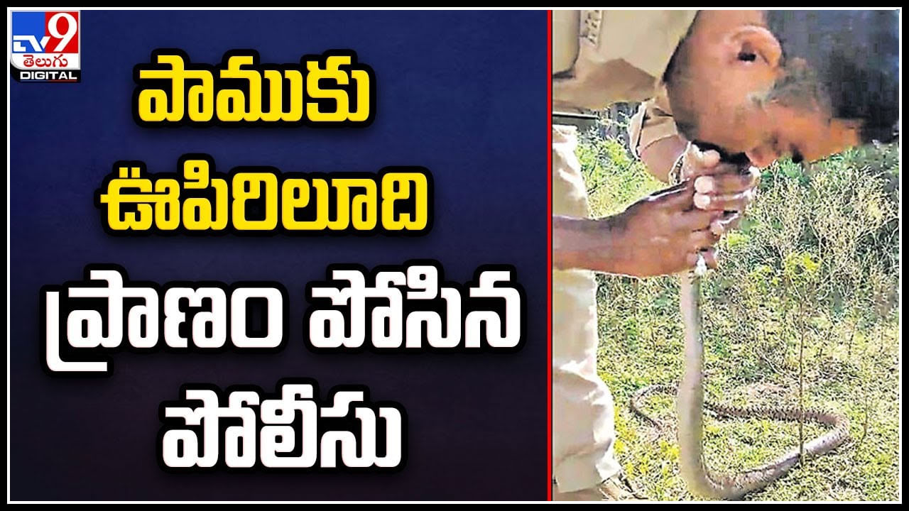 Police - Snake: పాముకు ఊపిరిలూది ప్రాణం పోసిన పోలీసు.. వైరల్‌ అవుతున్న వీడియో