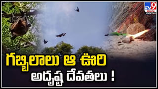 Rapid express: ర్యాపిడ్‌ ఎక్స్‌ప్రెస్‌… ఇది వందేభారత్‌ను మించి.. అబ్బురపరిచే సౌకర్యాలు, విశేషాలు.