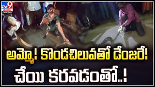 Viral: ఆ డ్రైవర్ కు భూమి మీద ఇంకా నూకలున్నాయ్‌.. లేదంటే..? వీడియో వైరల్..